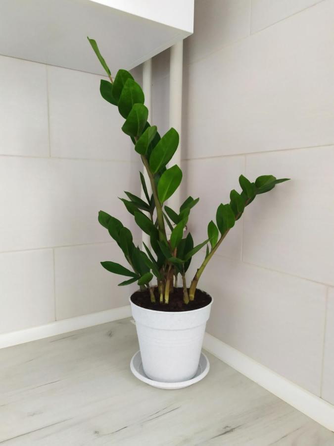 Apartment On Klochkovskaya 152A Charków Zewnętrze zdjęcie